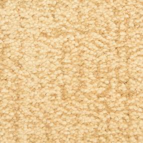 Pattern Bamboo Shoot Beige/Tan Carpet