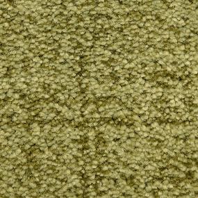 Pattern Bermuda Grass Green Carpet