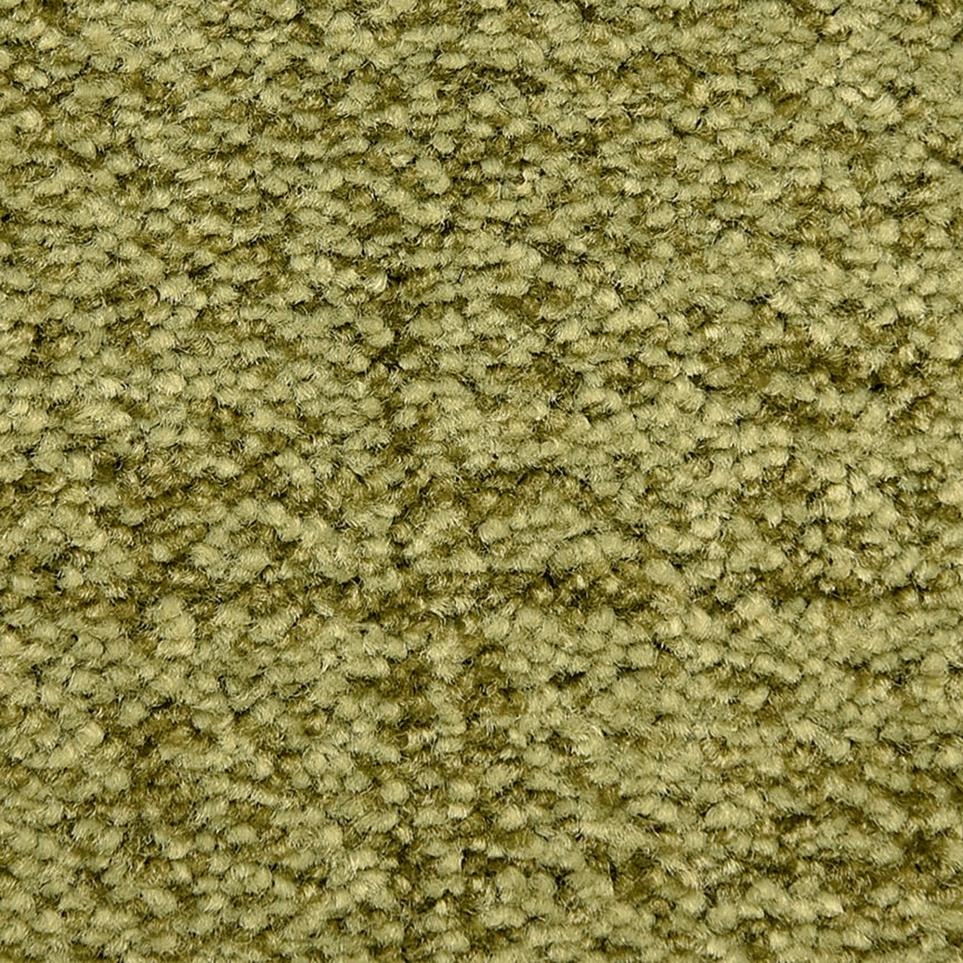 Pattern Bermuda Grass Green Carpet