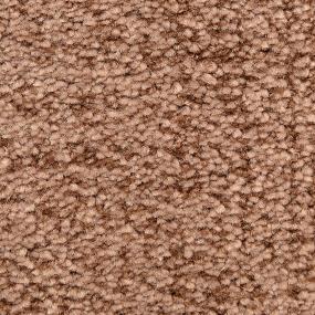 Pattern Cocoa Brown Carpet