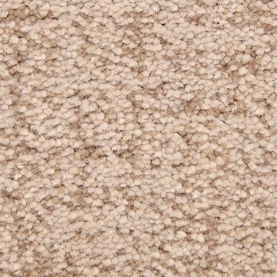 Pattern Studio Beige/Tan Carpet