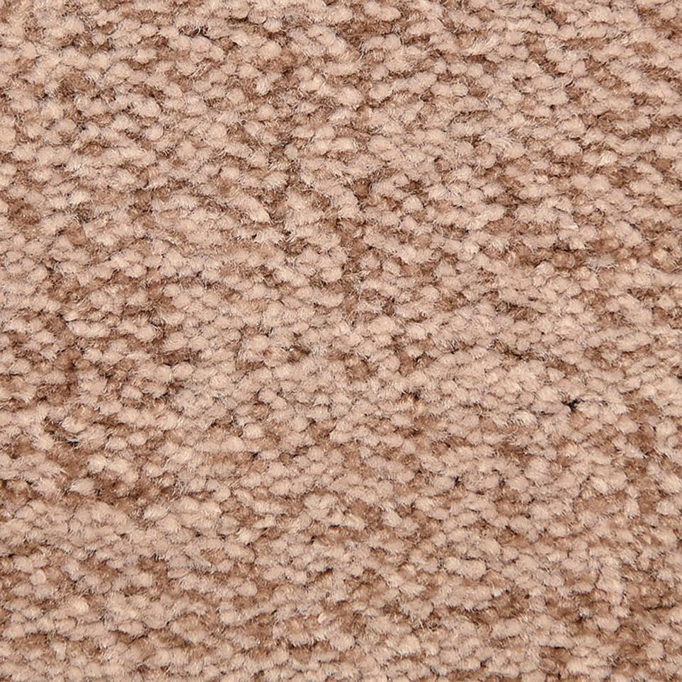 Pattern Marquee Beige/Tan Carpet