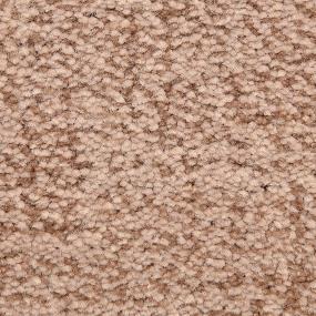Pattern Marquee Beige/Tan Carpet