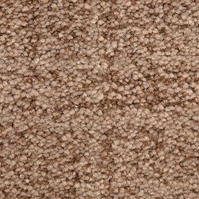 Pattern Peppery Beige/Tan Carpet