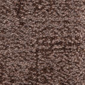 Pattern Dark Shadows Brown Carpet