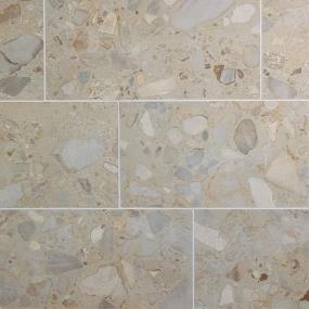 Tile Tundra Matte Beige/Tan Tile