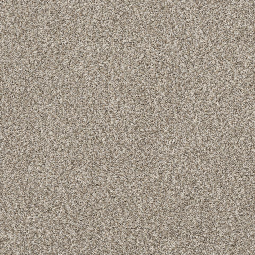Latte Beige/Tan Carpet
