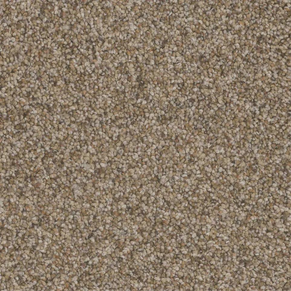 Textured Saxony Dwelling Brown Carpet