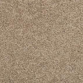 Textured Saxony Liverpool Beige/Tan Carpet
