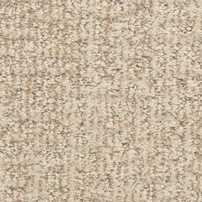 Pattern Insightful Beige/Tan Carpet
