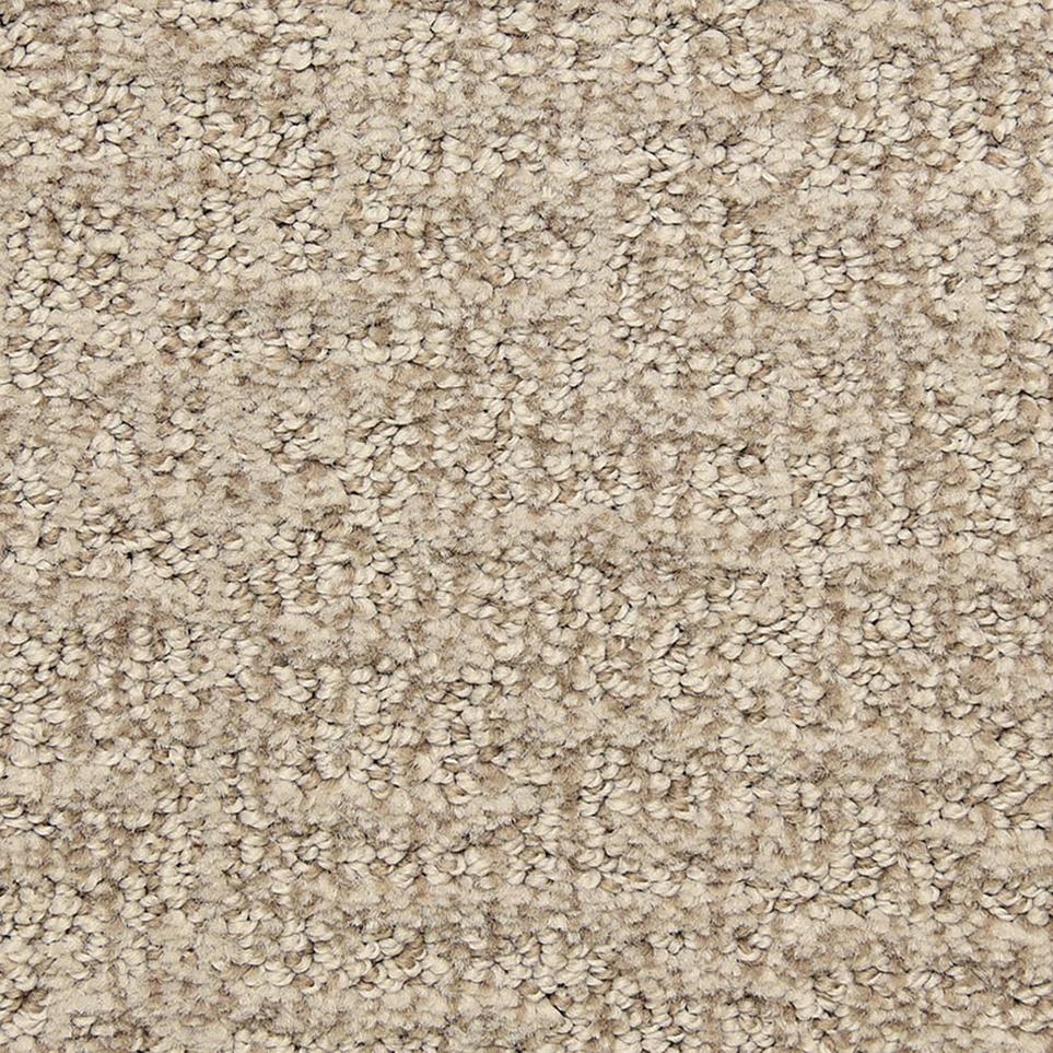 Pattern Tarnished Beige/Tan Carpet
