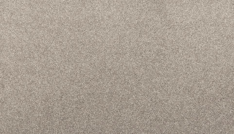 Textured Saxony Wooly Betony Gray Carpet