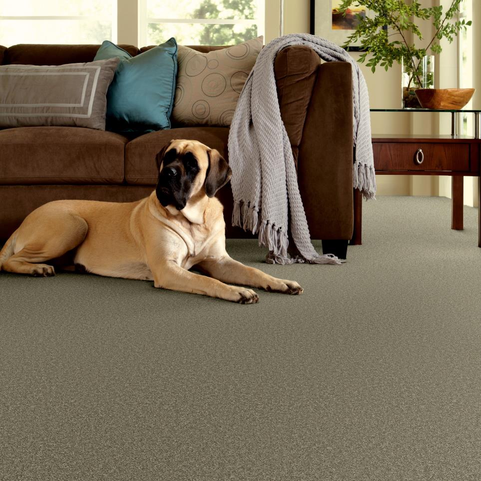 Plush Leather Brown Carpet