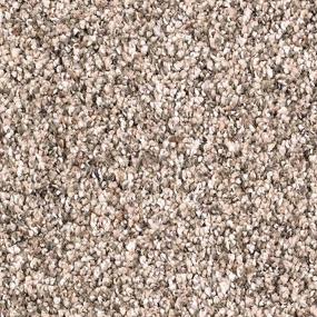 Textured Saxony Coastal Beige Beige/Tan Carpet