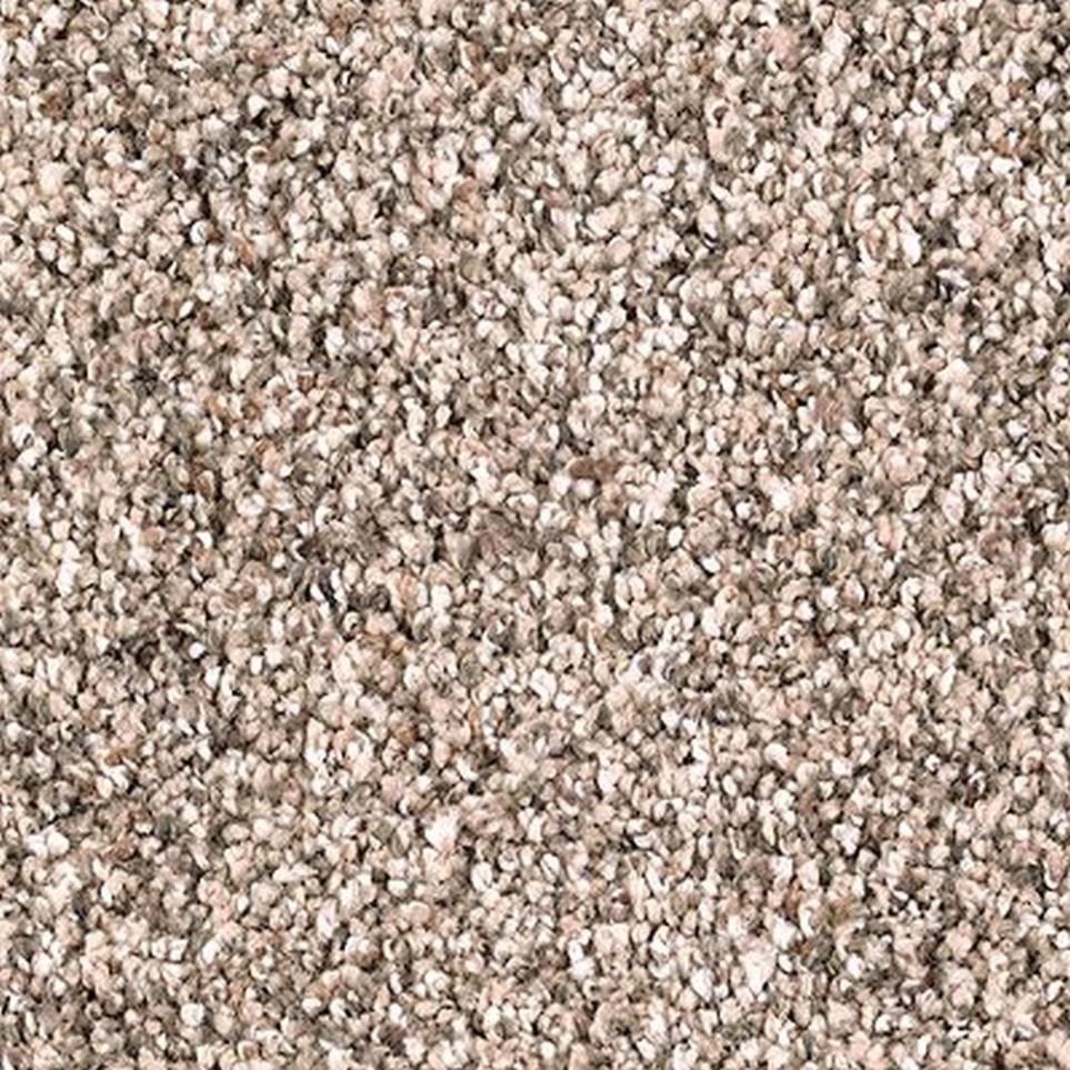 Textured Saxony Coastal Beige Beige/Tan Carpet
