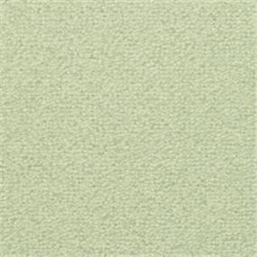 Texture Fern Mist Green Carpet