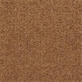 Texture Manatee Brown Carpet