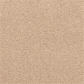 Texture Oar Beige/Tan Carpet