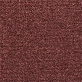 Texture Passionate Pink Carpet