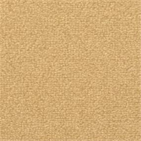 Texture Sandbar Beige/Tan Carpet