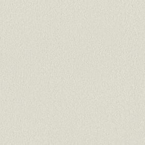 Texture Fluffy Cloud Beige/Tan Carpet