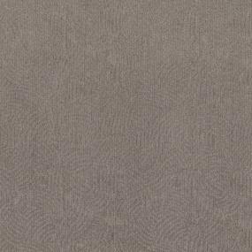 Pattern Paddle Wheel Beige/Tan Carpet