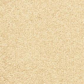 Casual Texture Autumn Blush Beige/Tan Carpet