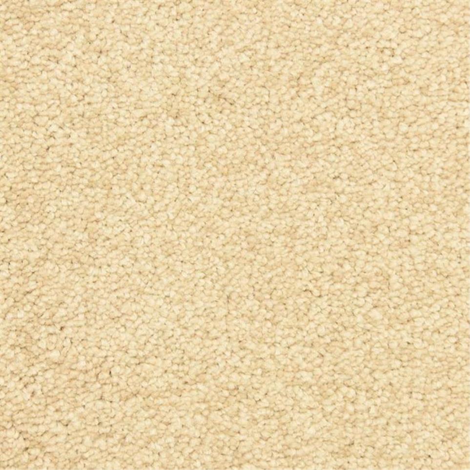 Casual Texture Autumn Blush Beige/Tan Carpet