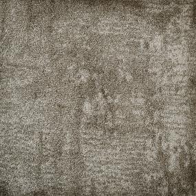 Pattern Charcoal Gray Carpet