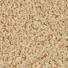 Casual Texture Pebble Mosaic Beige/Tan Carpet