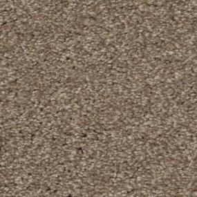 Casual Texture Sepia Brown Carpet