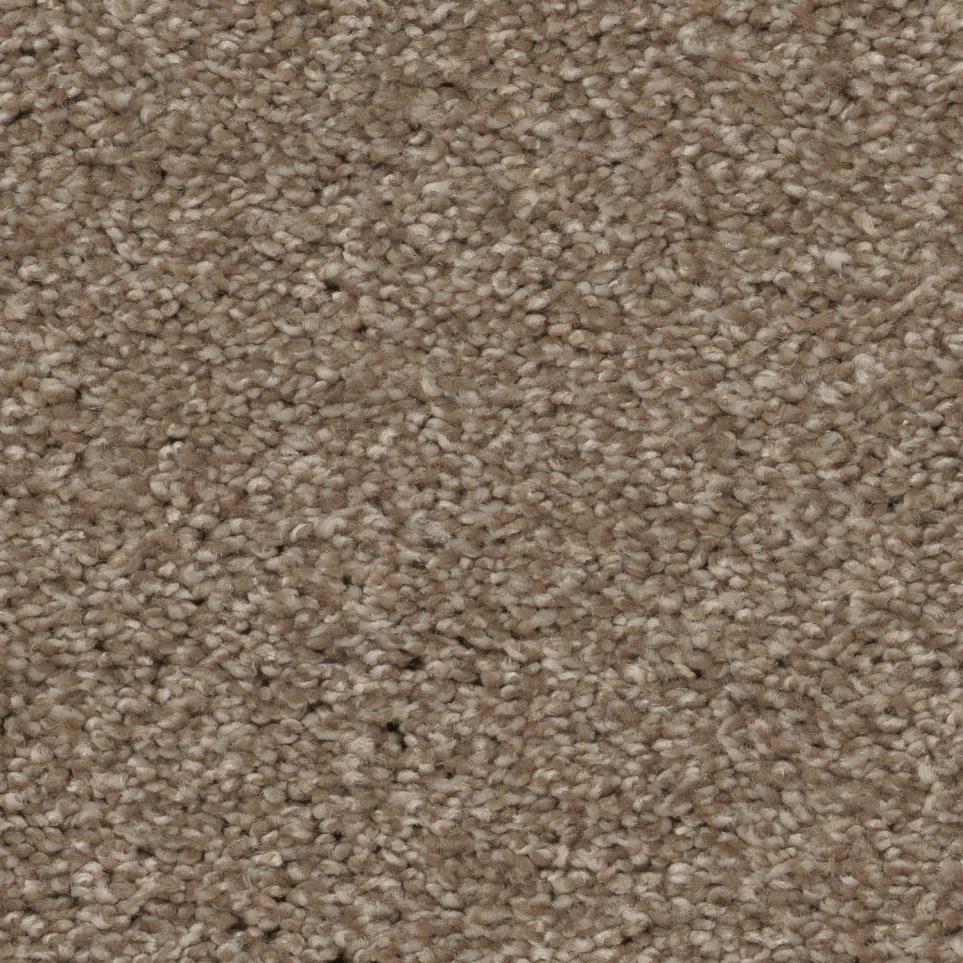 Frieze Sepia Brown Carpet