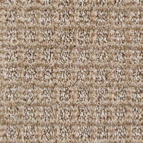 Pattern ANCIENT OAK Beige/Tan Carpet
