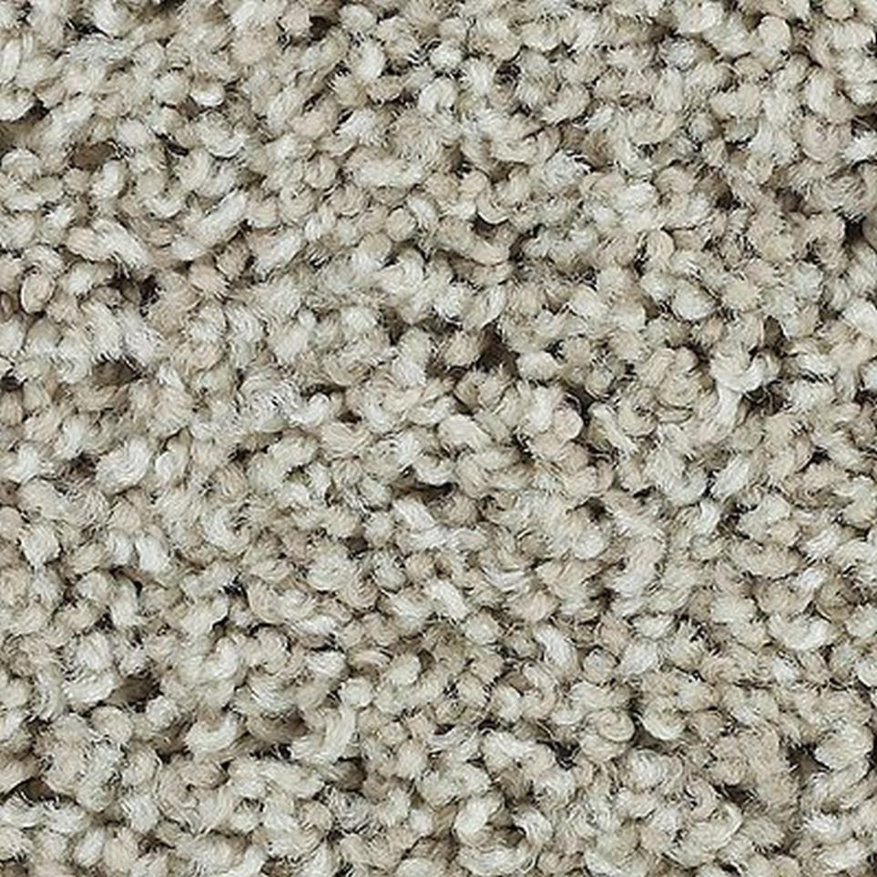 Textured Saxony HEATHERY TINT Gray Carpet