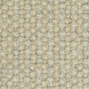Loop Companion Beige/Tan Carpet