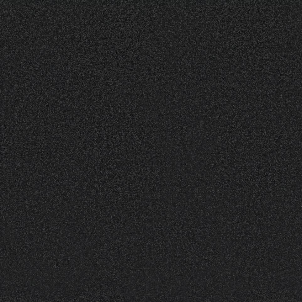 Textured Saxony Wrought Iron Black Carpet