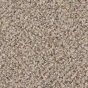 Textured Saxony Fedora Grey Gray Carpet