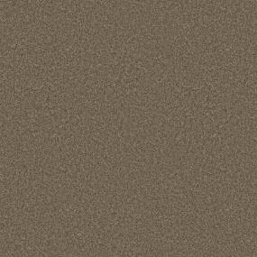 Casual Texture Pecan Brown Carpet