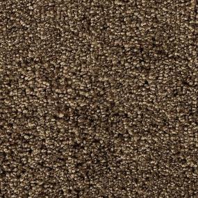 Textured Saxony BRUSHWOOD Brown Carpet