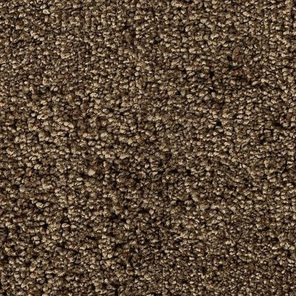 Textured Saxony BRUSHWOOD Brown Carpet