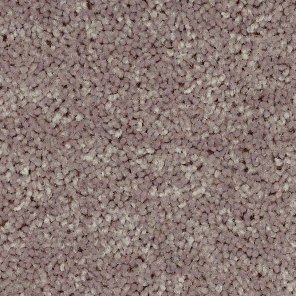 Texture Buckskin Beige/Tan Carpet