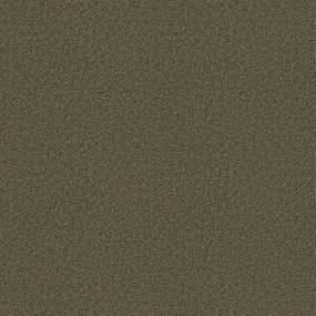 Textured Saxony Associate Brown Carpet