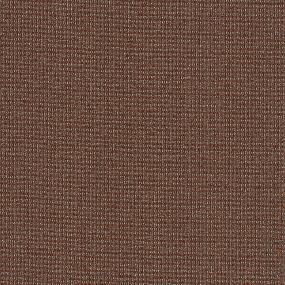 Loop Exuberance Brown Carpet