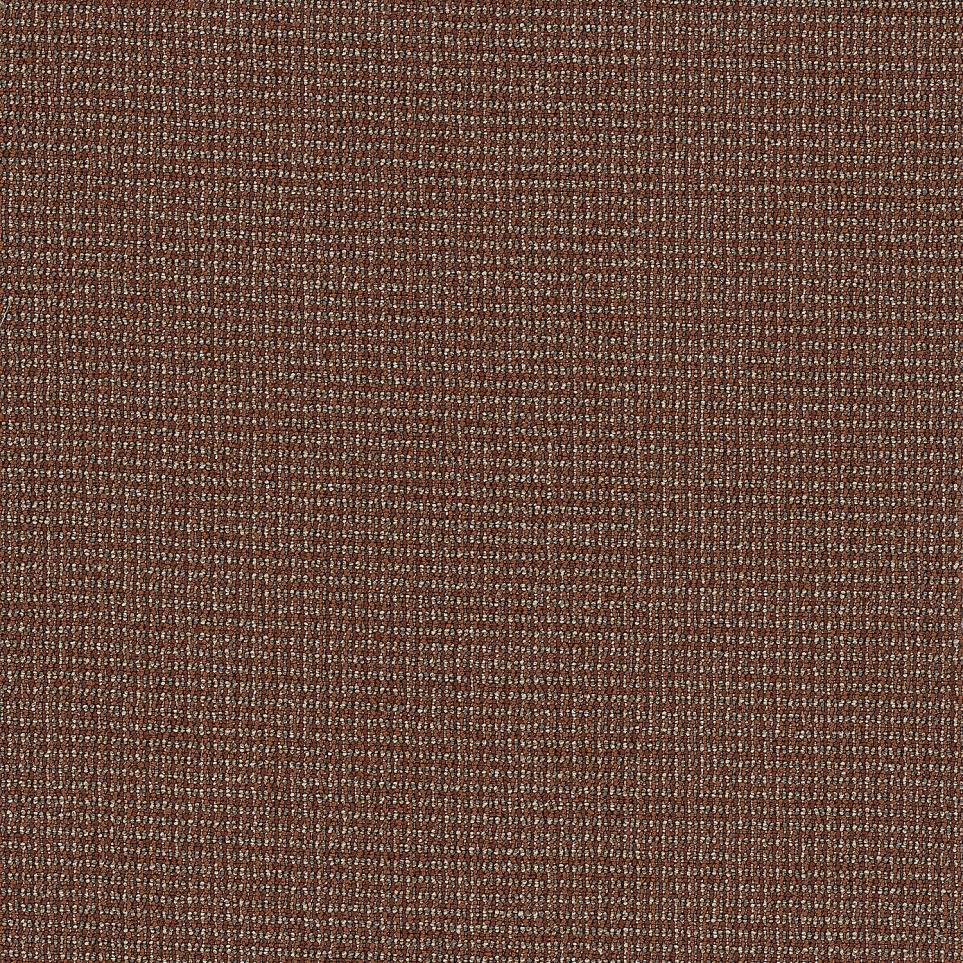 Loop Exuberance Brown Carpet