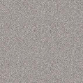Textured Saxony Traditional Beige/Tan Carpet