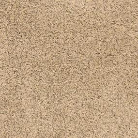 Textured Saxony Chaparral Beige/Tan Carpet