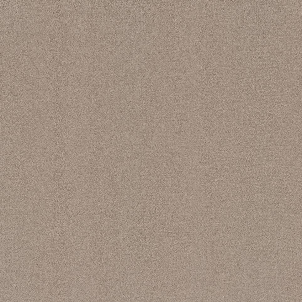 Casual Texture Hammock Beige/Tan Carpet