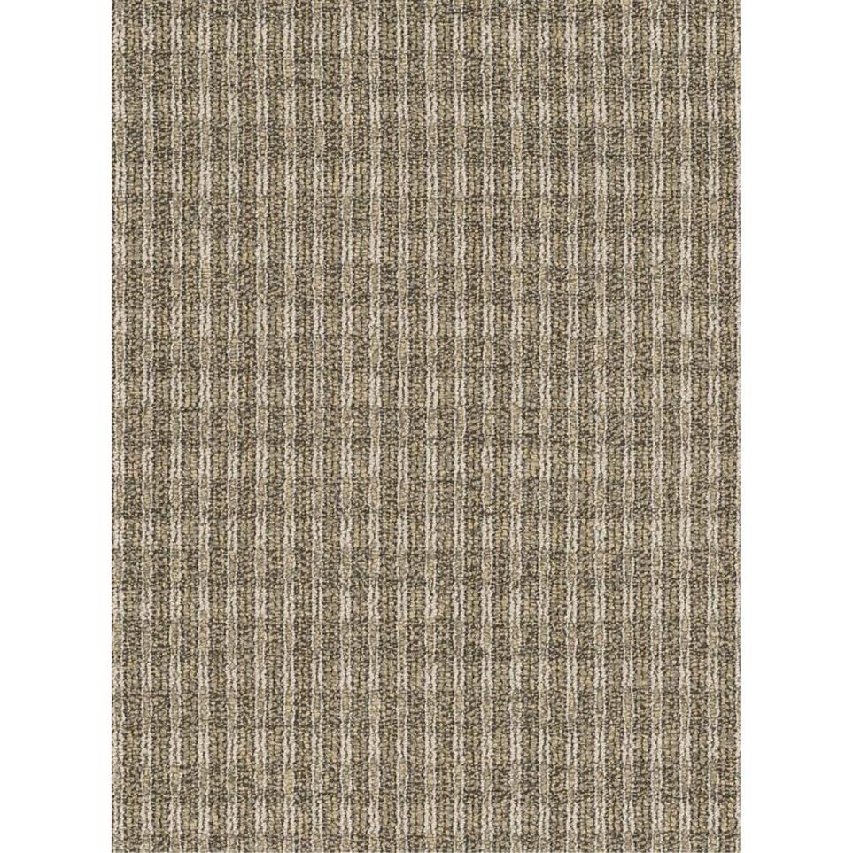 Loop Behavior Beige/Tan Carpet