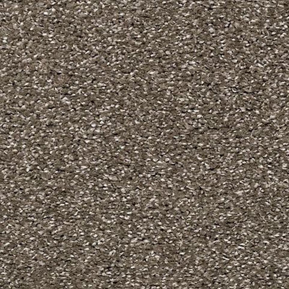 Textured Saxony Driftwood Brown Carpet