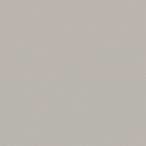 Texture Sterling Gray Carpet